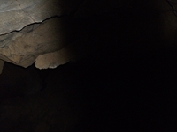 Grotta Piano Porcaria